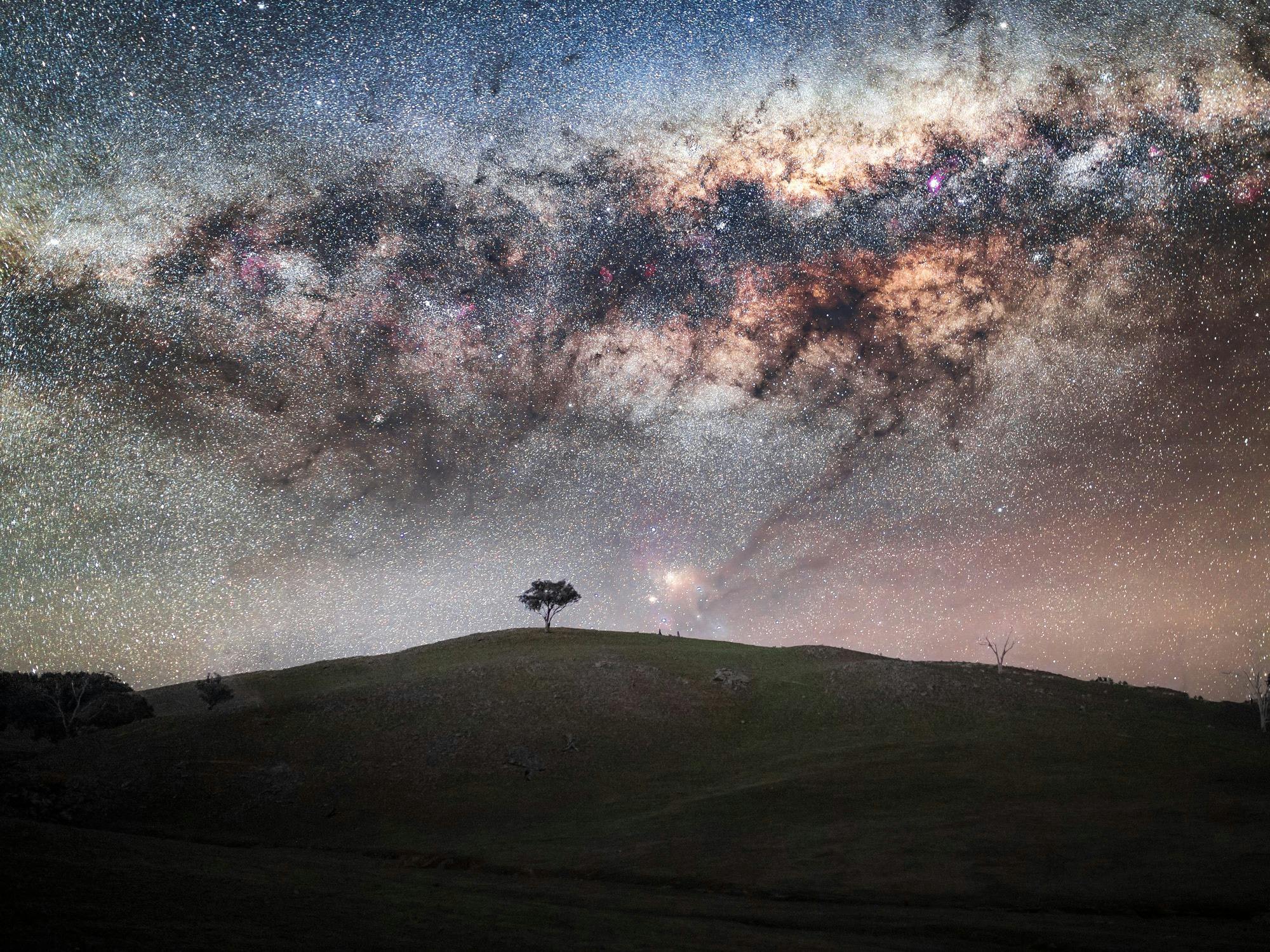 A lone tree under the Mlky Way
