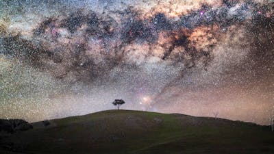 A lone tree under the Mlky Way