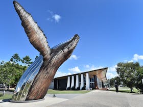 Hervey Bay Regional Gallery with Nala the whale statue in foreground