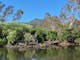 Goulburn River with lots of trees in the background