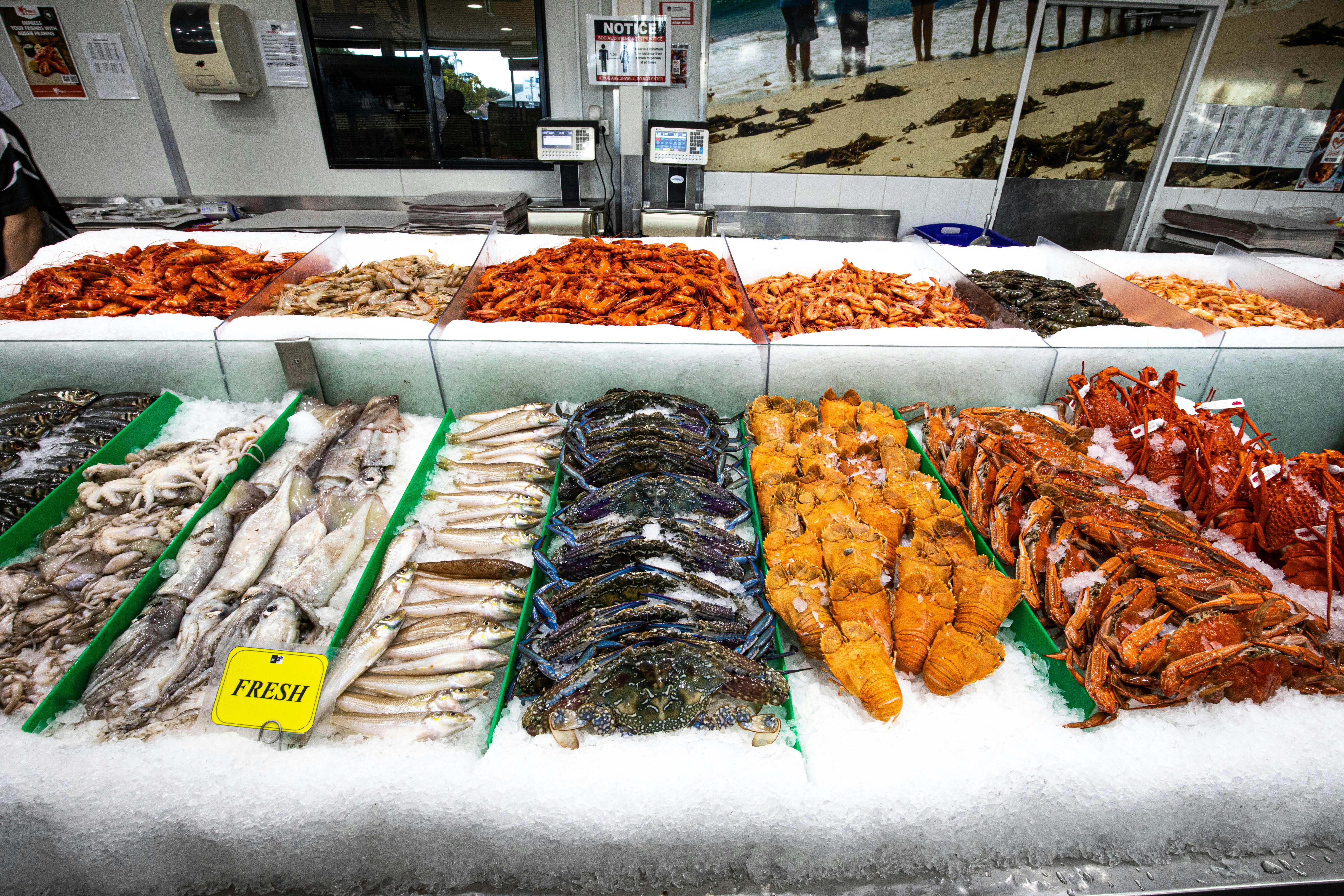 Nowra Fresh Fish and Meat Markets NSW Holidays &