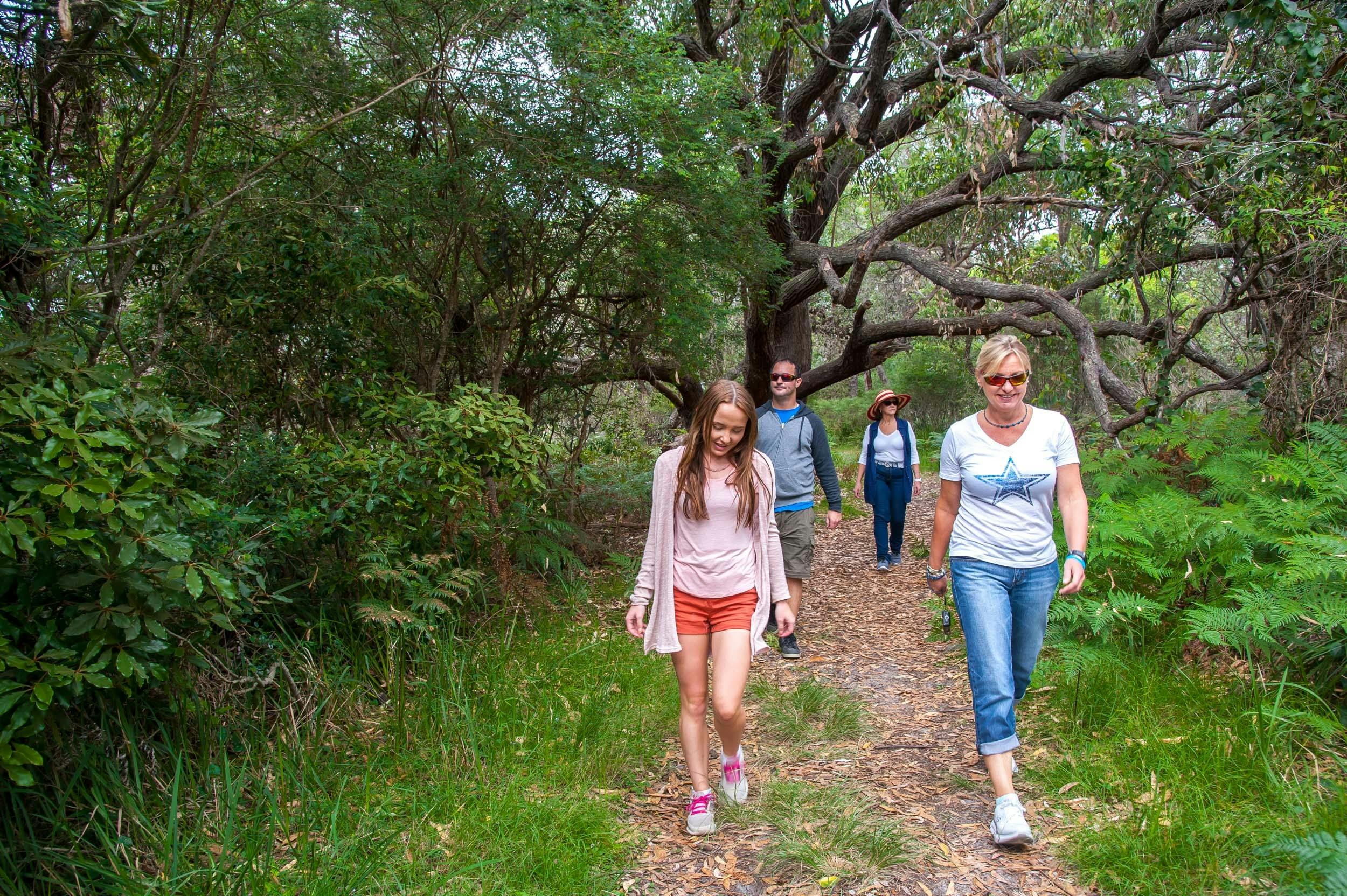 뱅크시아 숲을 걷다