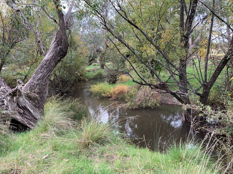 Burra Creek