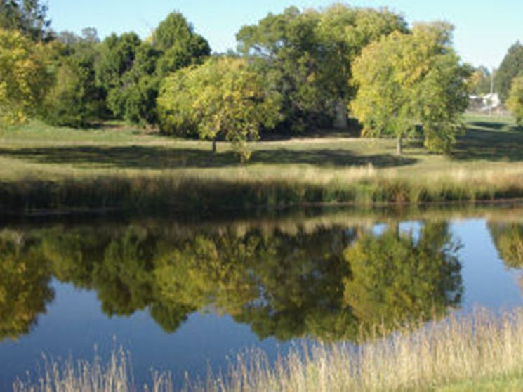 Bombala River Walk