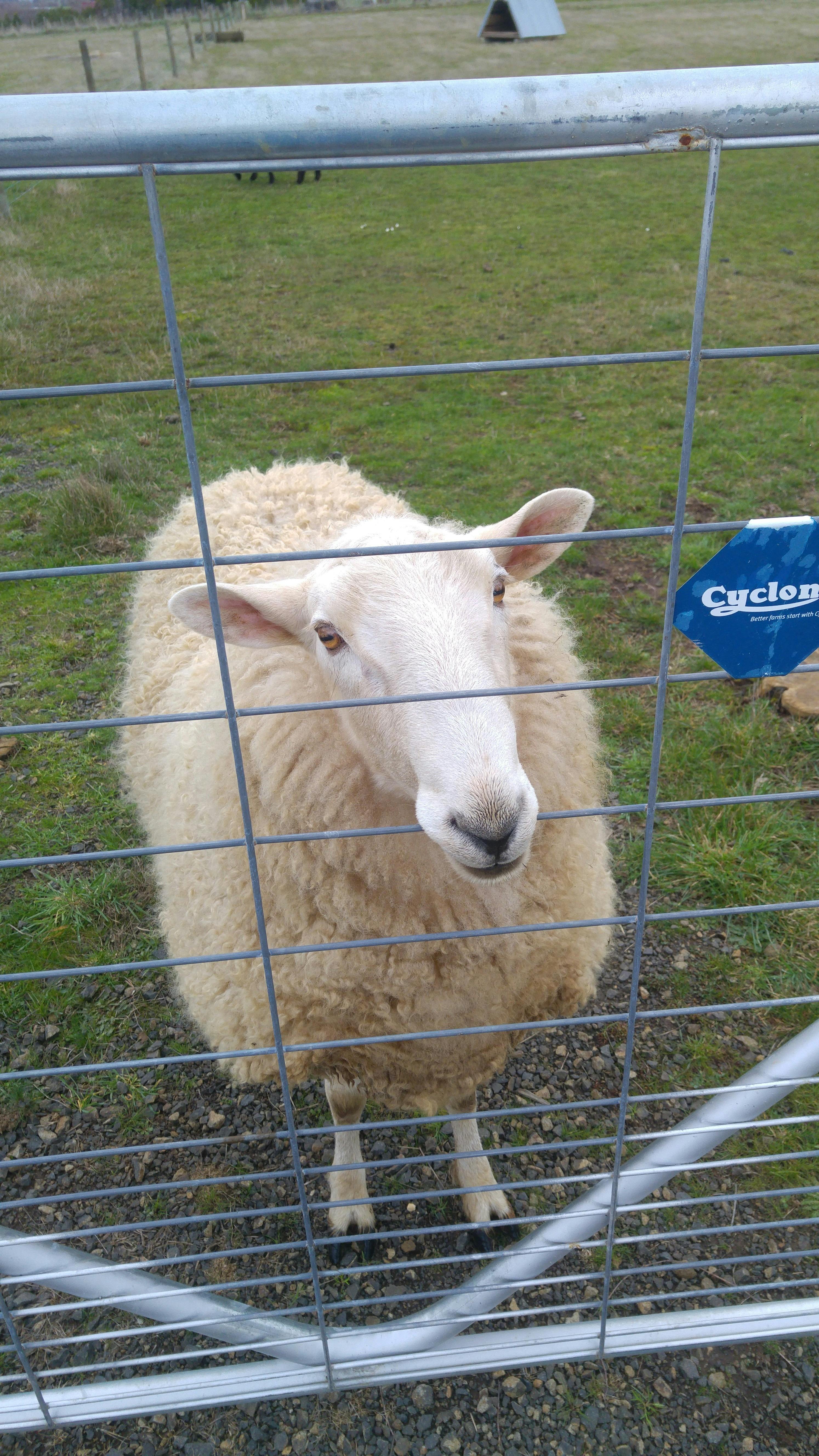 Little Sunnyside Accommodation