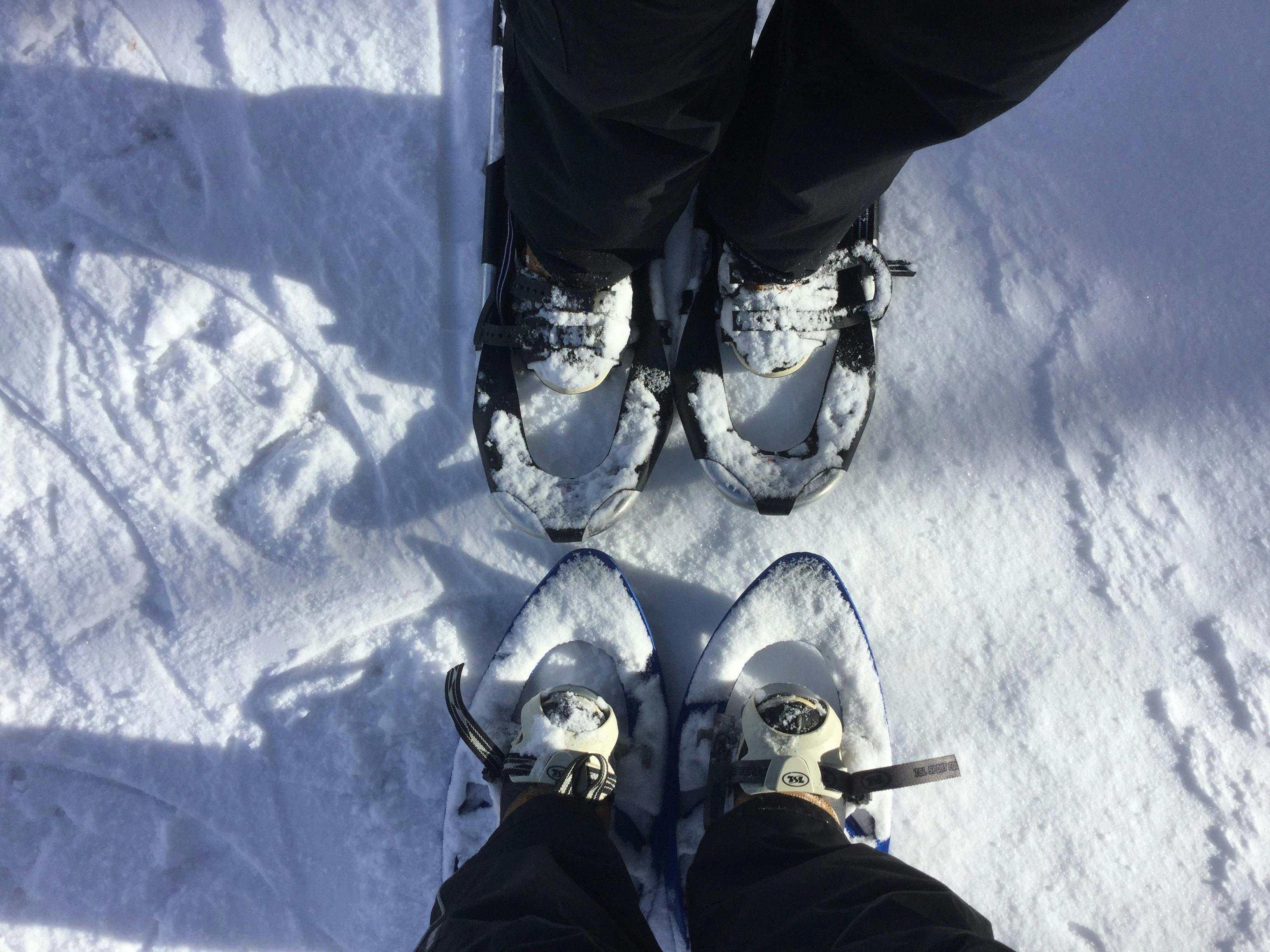 Two people wearing snowshoes