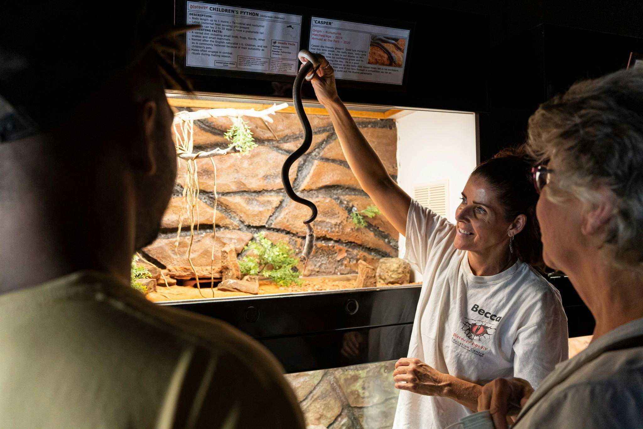 Learn all about snakes
