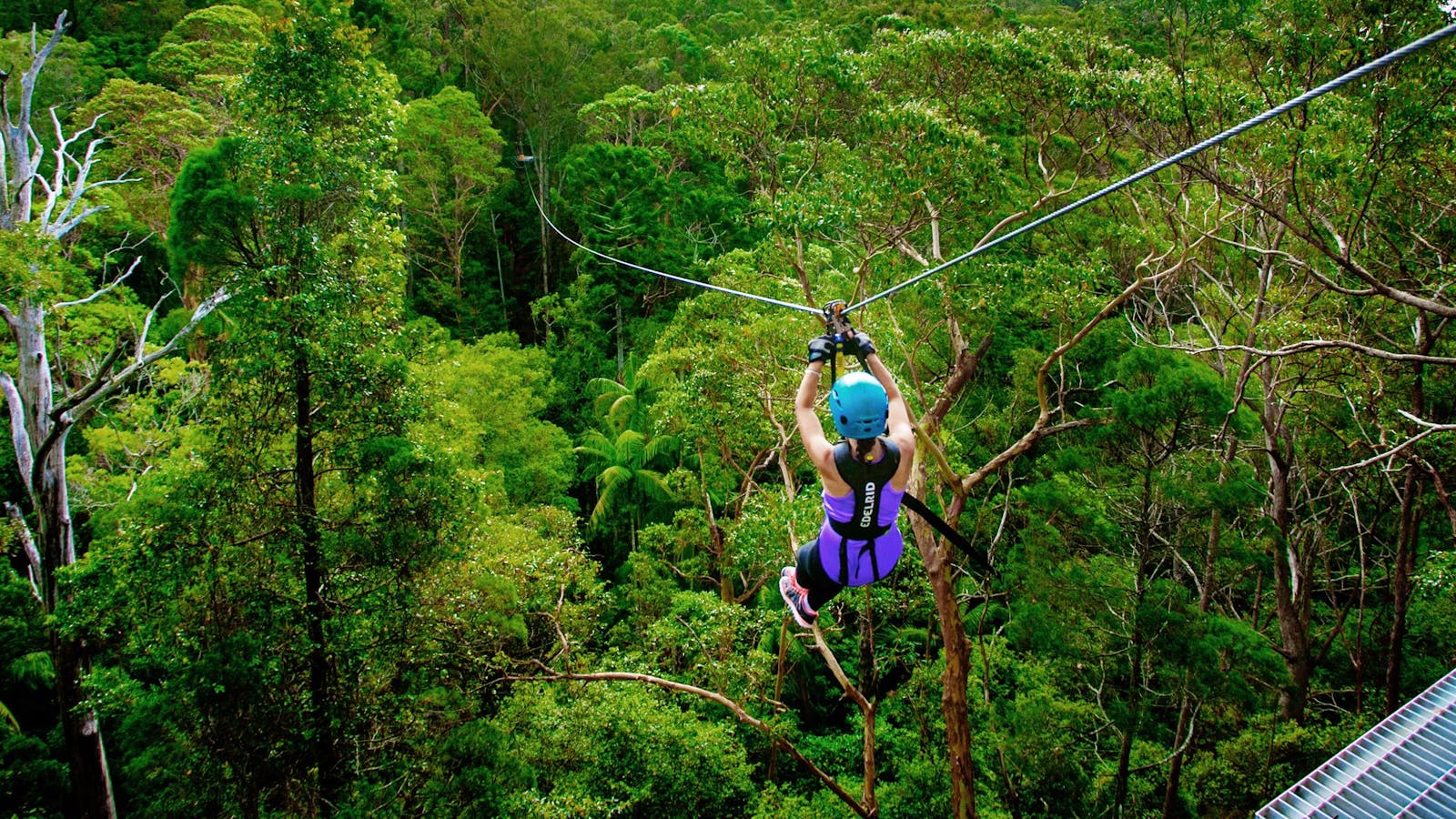 Tamborine-Lamington Circuit