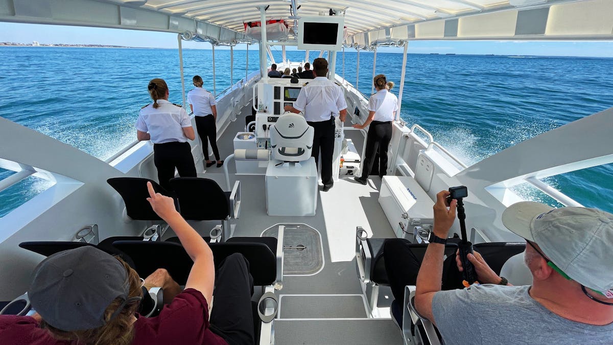Whale Watch Queensland