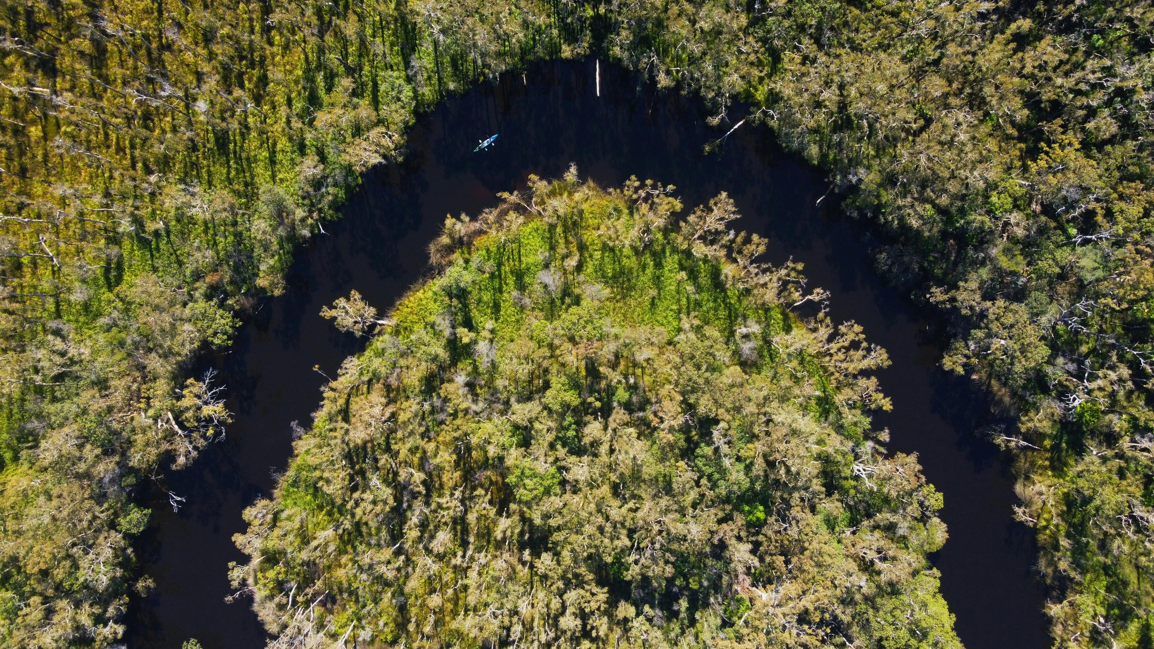 Paddling the Noosa Everglades