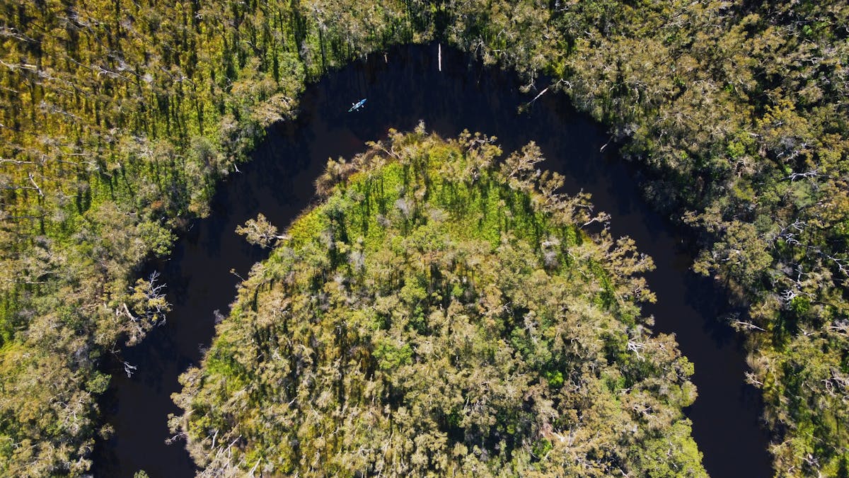 Aerial view of a section of the reknowned Noosa Evergaldes