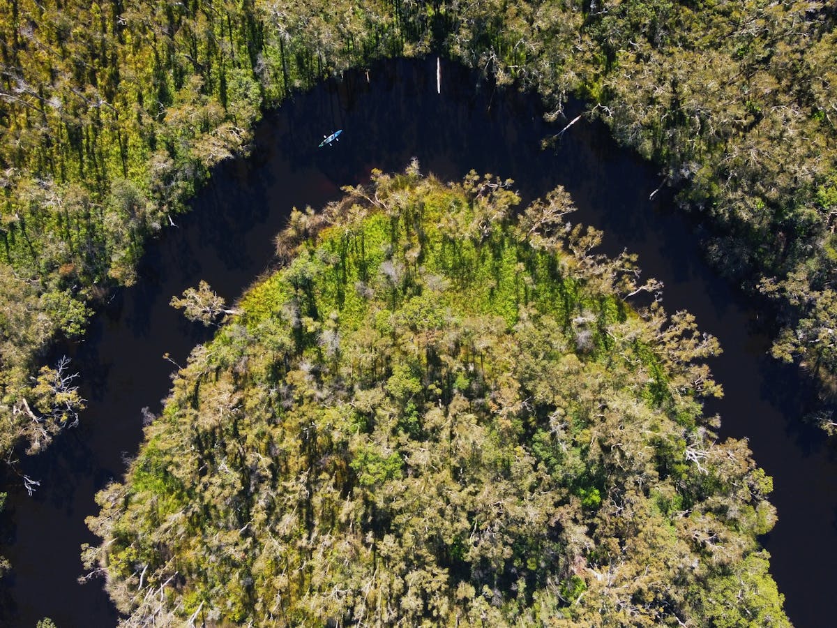Aerial view of a section of the reknowned Noosa Evergaldes