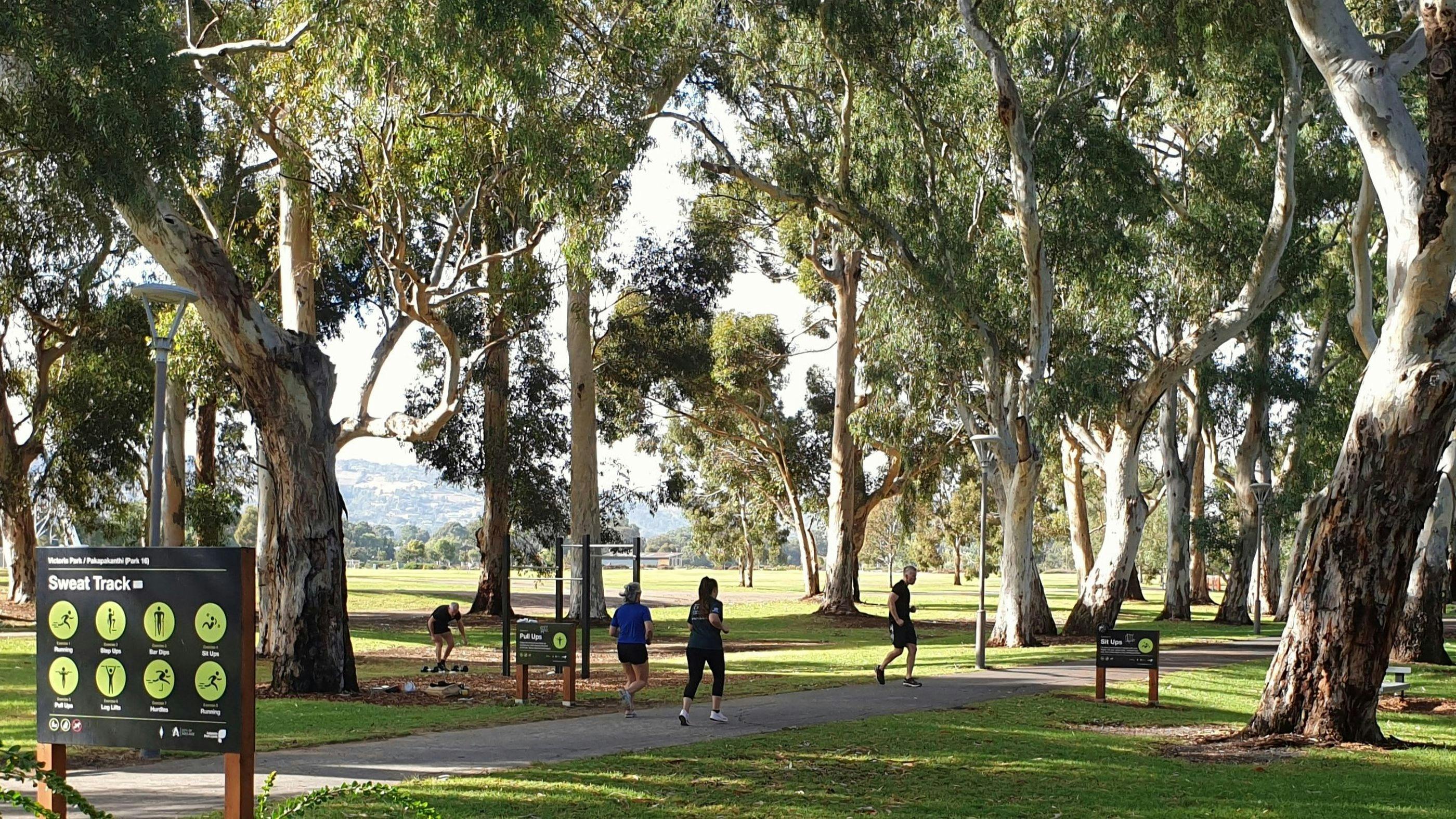 Guided Walk through northern half of Victoria Park / Pakapakanthi (Park 16)