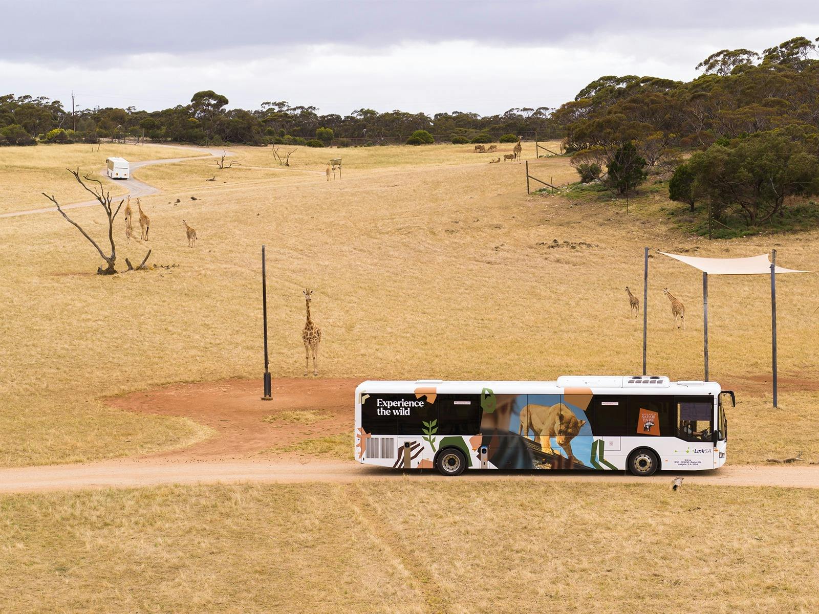 Zu-loop Shuttle Bus