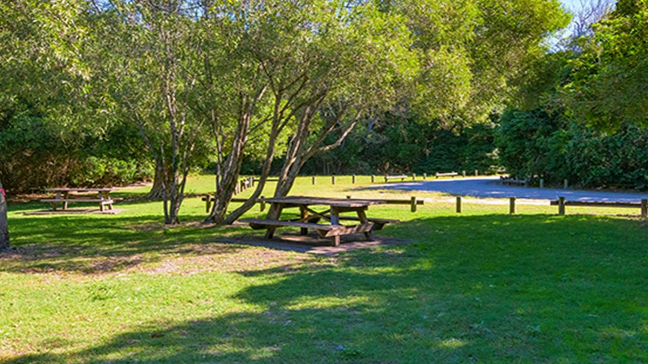 Back Beach picnic area