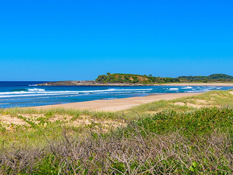 View of surf and rocky headland over beach and dune vegetation.  Photo: Jessica Robertson/OEH.