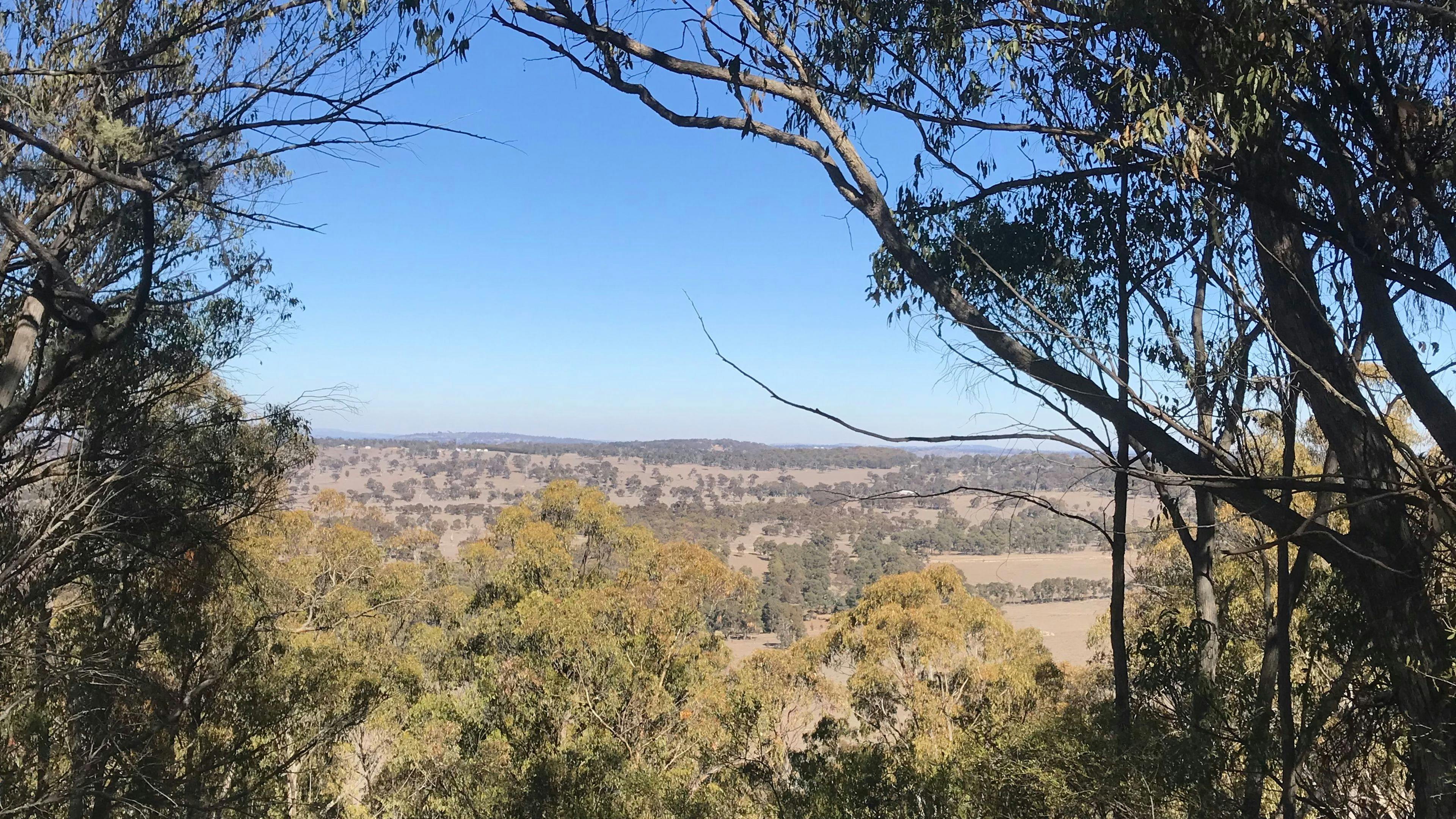 Back to Nature Bush Camping