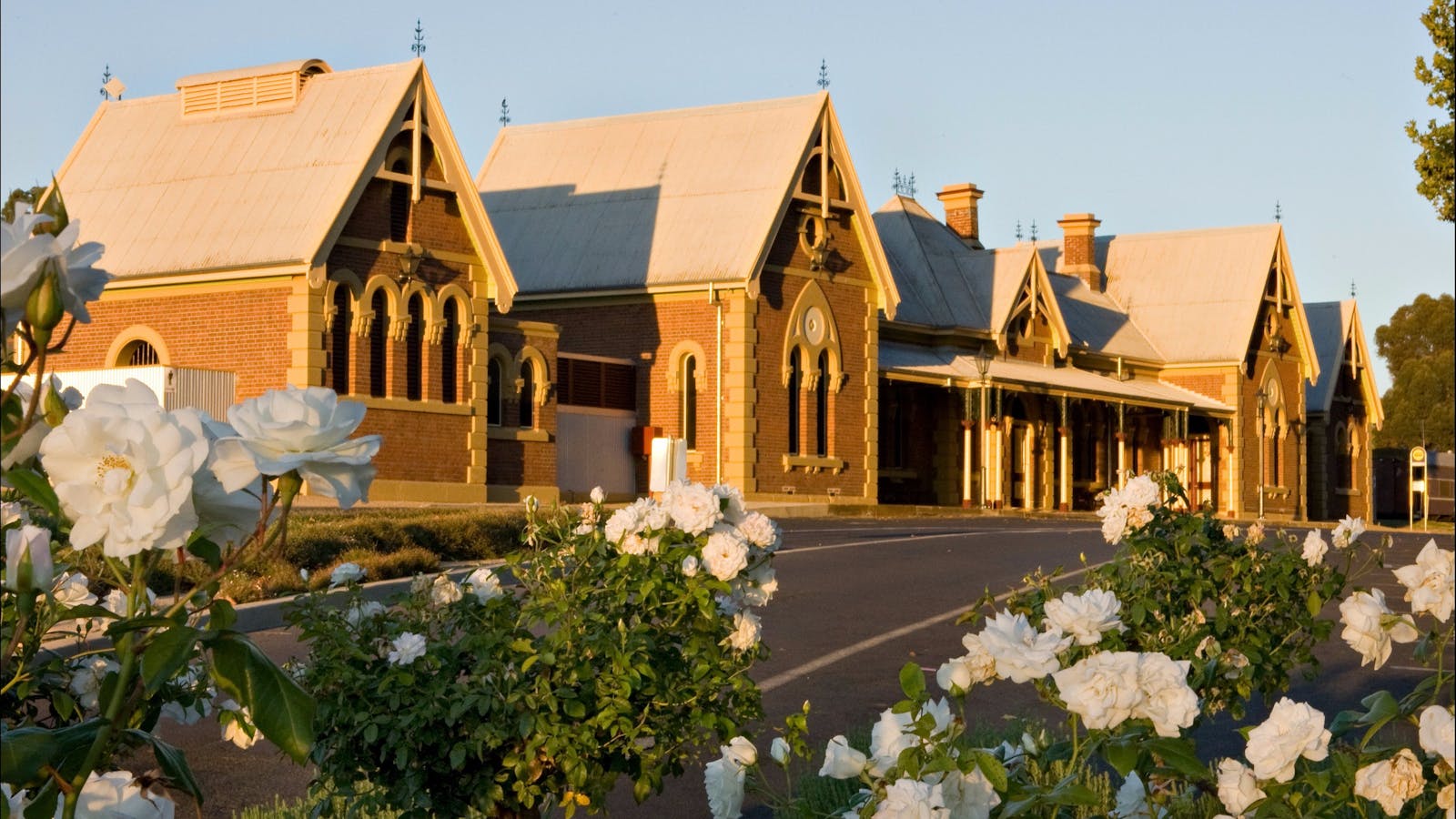 Hilltops Region Wine Cellar