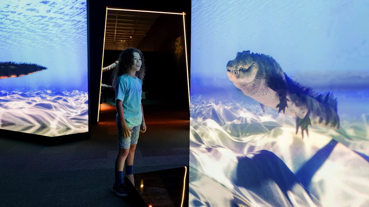 A child walks in between two large screens showing an animation of a crocodile swimming