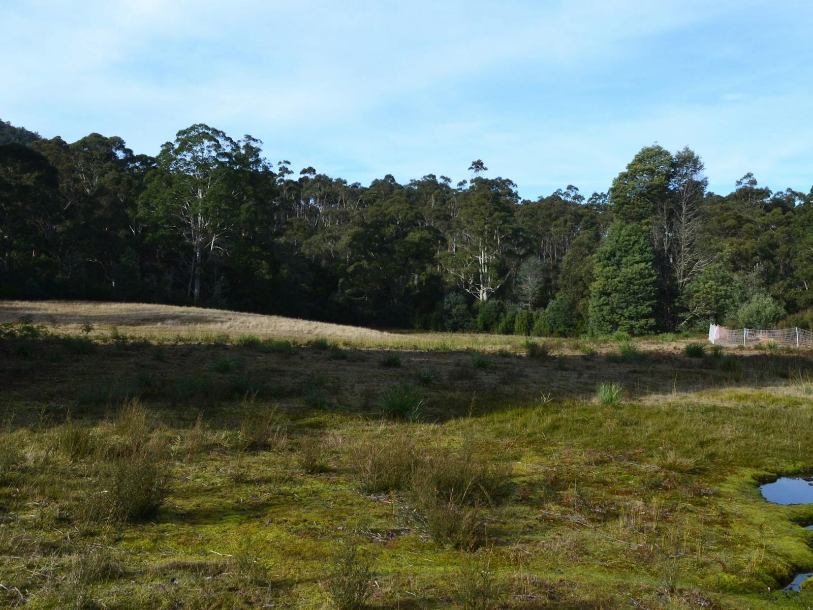 Badgers Flats