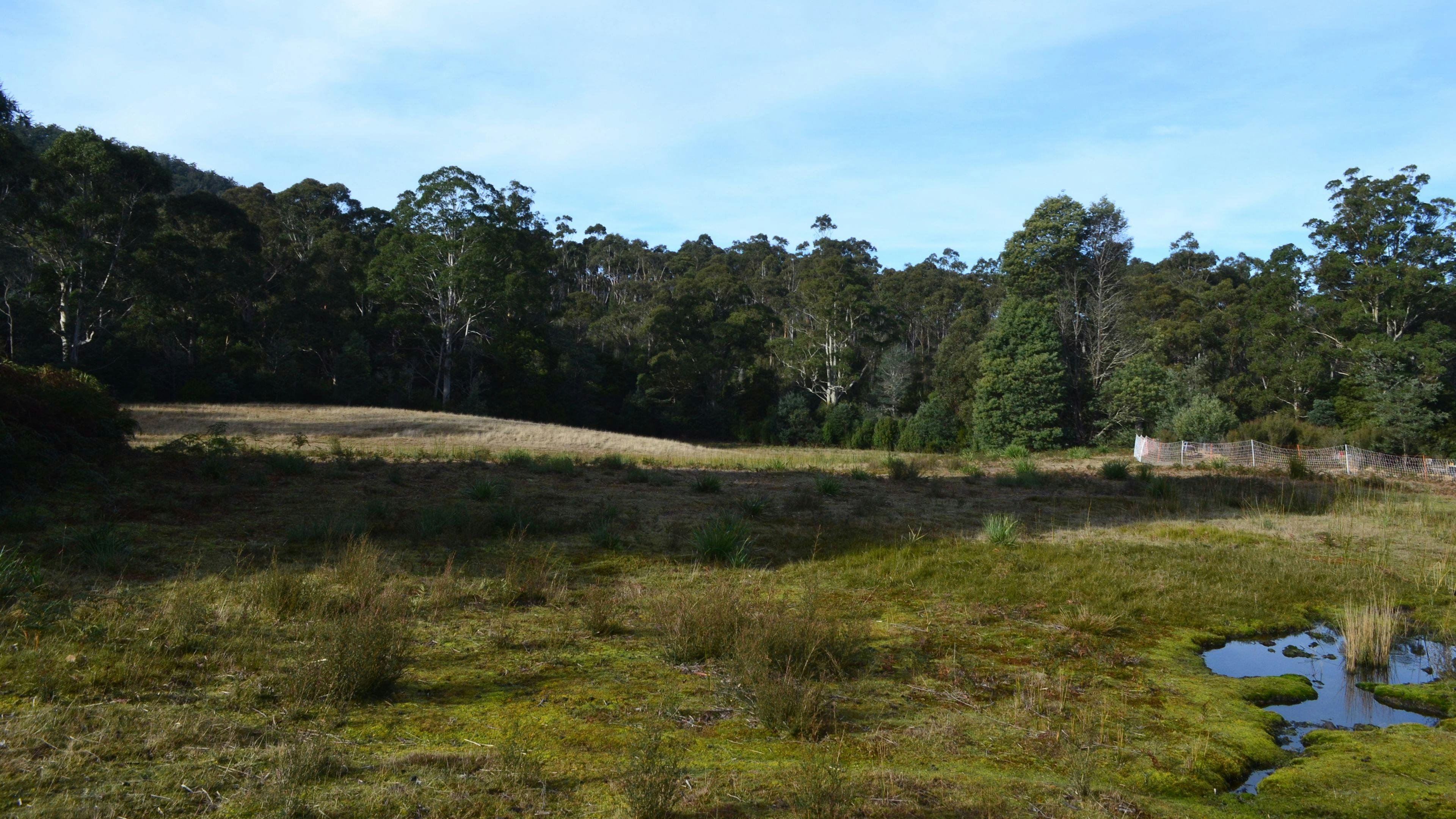 Badgers Flats