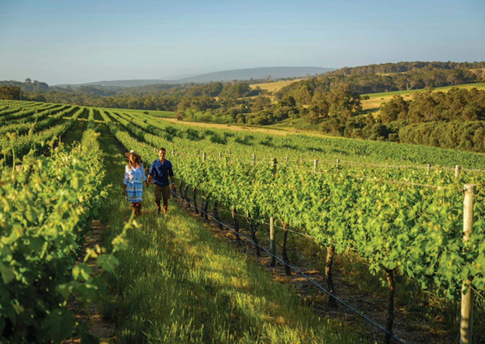 Margaret River Winery