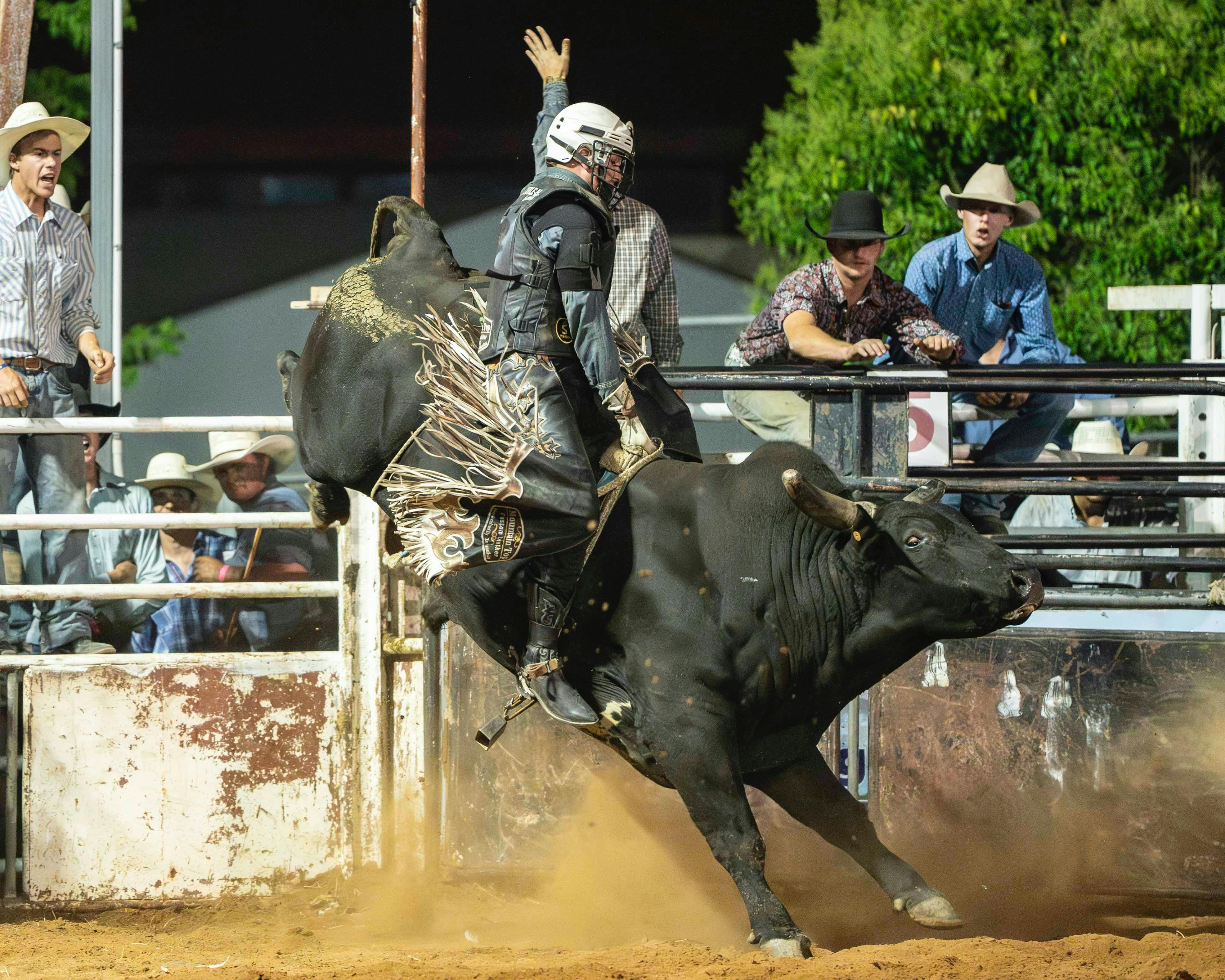 Image for Bucking Bulls Australia Yass River Co Classic
