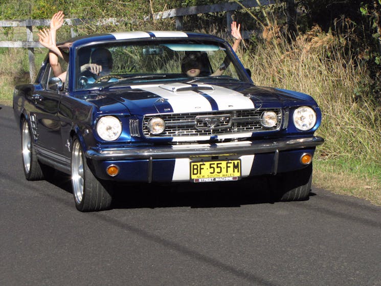 66 Mustang