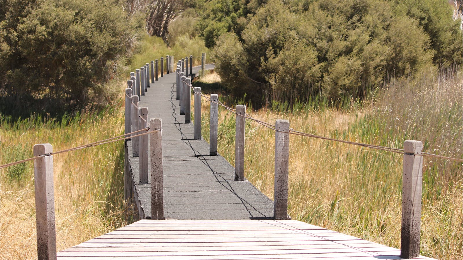 Bool Lagoon Game Reserve and Hacks Lagoon Conservation Park