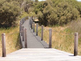 bool-lagoon-boardwalk