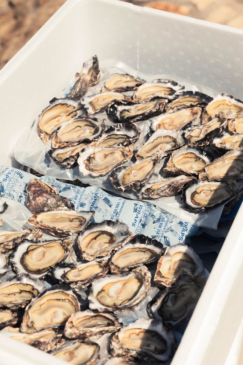 Freshly Shucked Moreton Bay Rock Oysters
