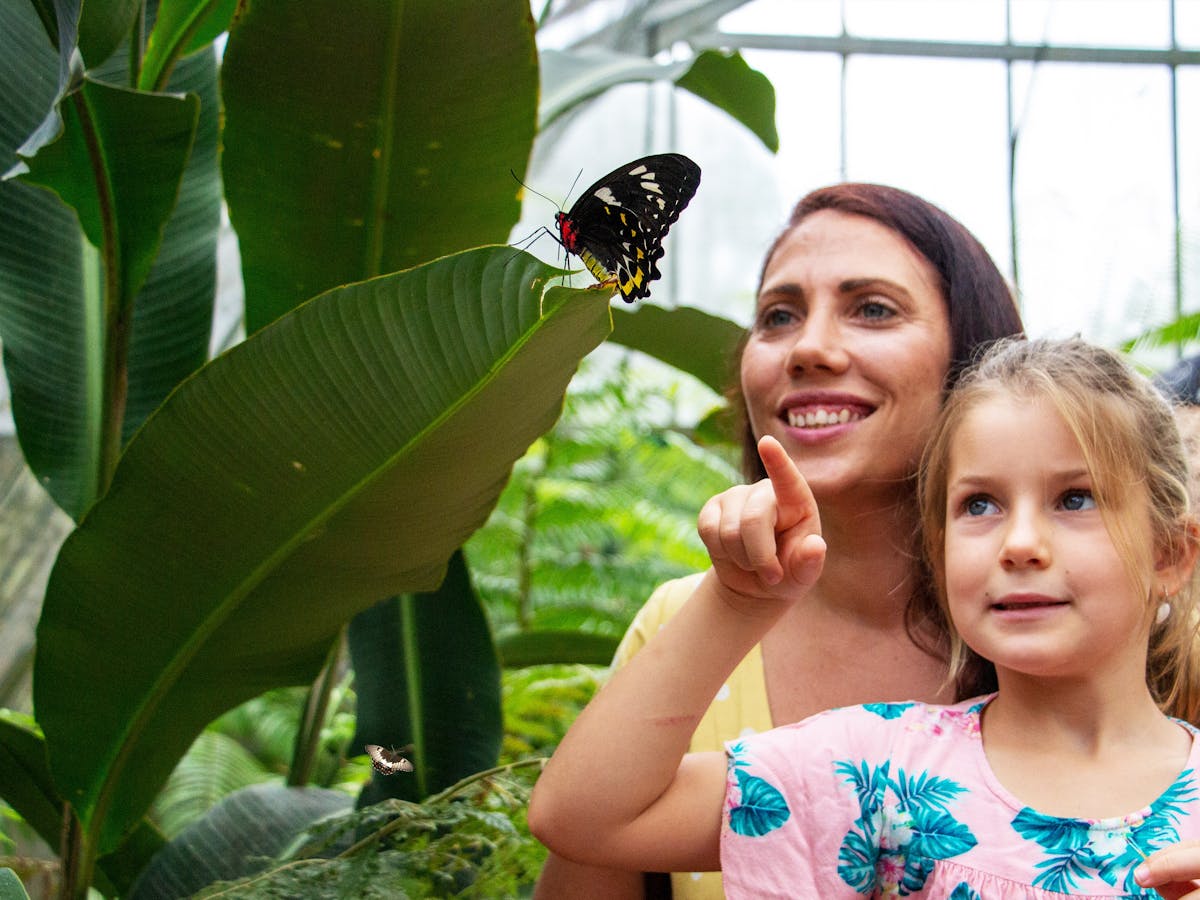 mother and daughter at the australian butterfly sanctuary kuranda