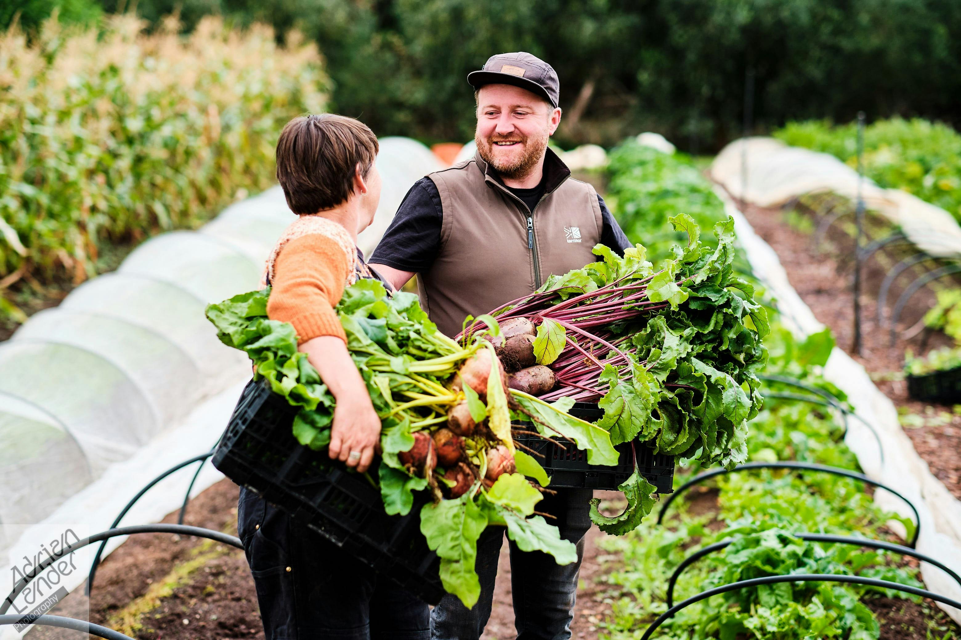 Montalto Winery & Ten Minutes By Tractor