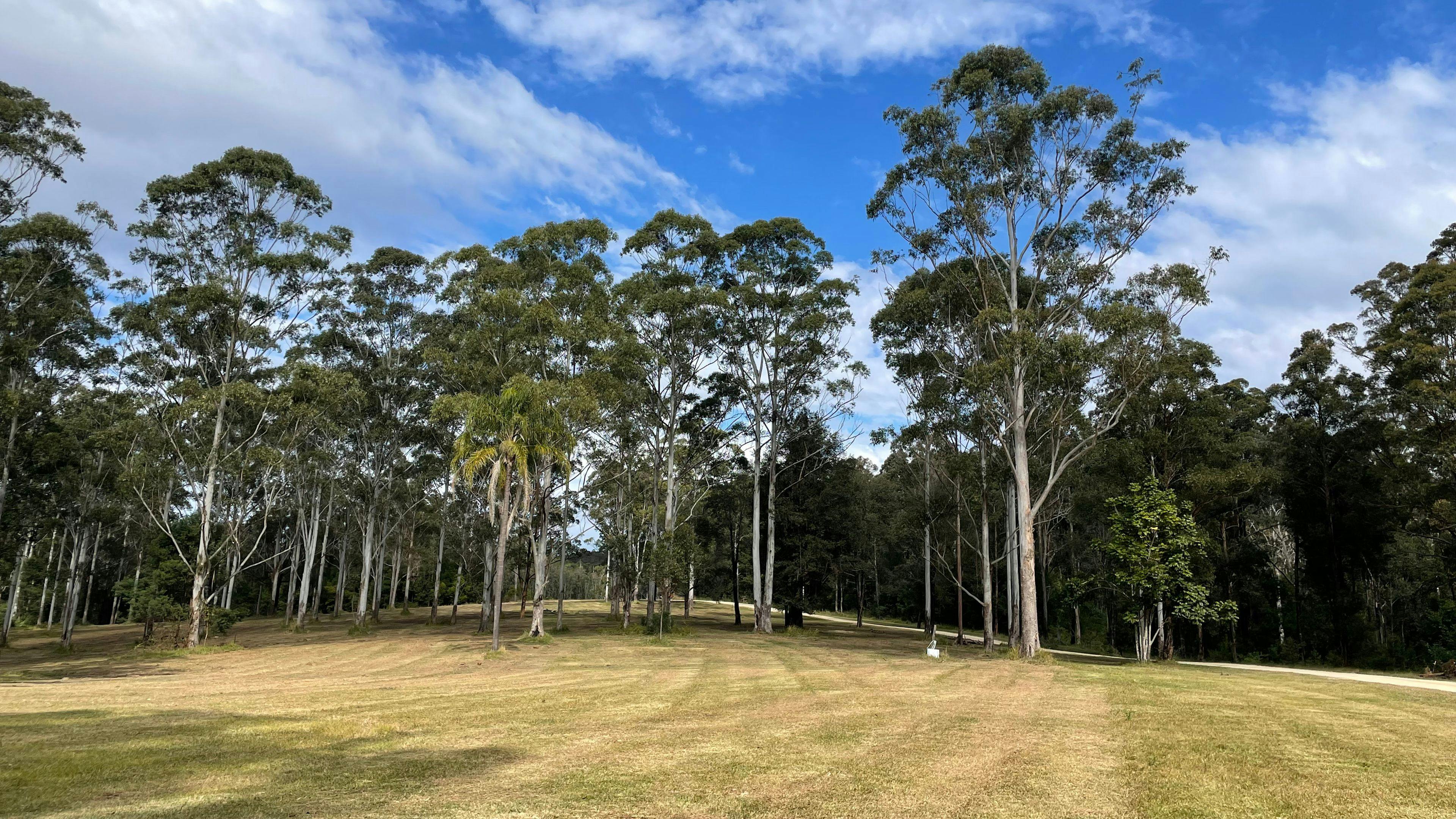 Bottom of Lone Palm Paddock and view as you enter the property