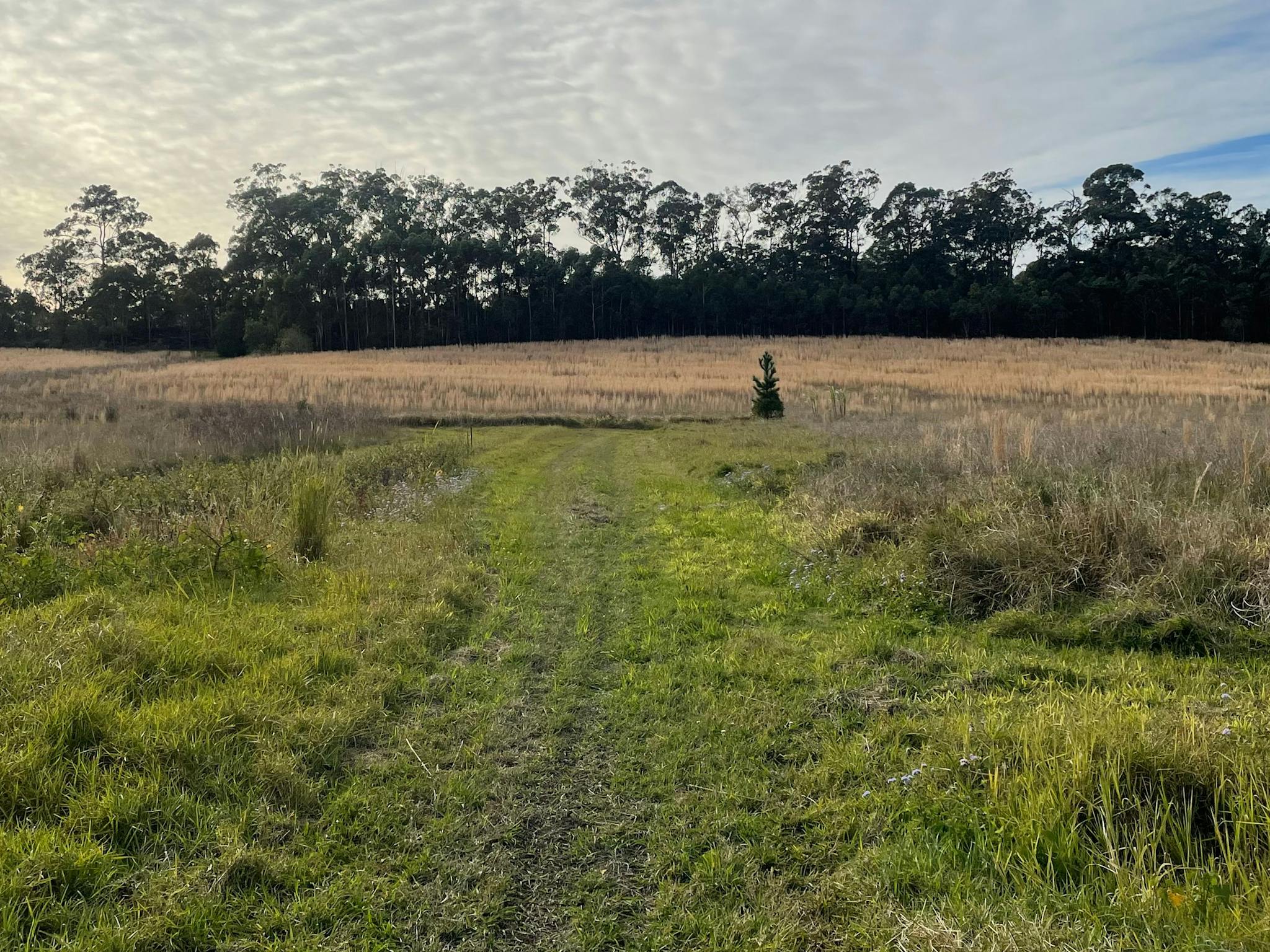 Bagotville Farm