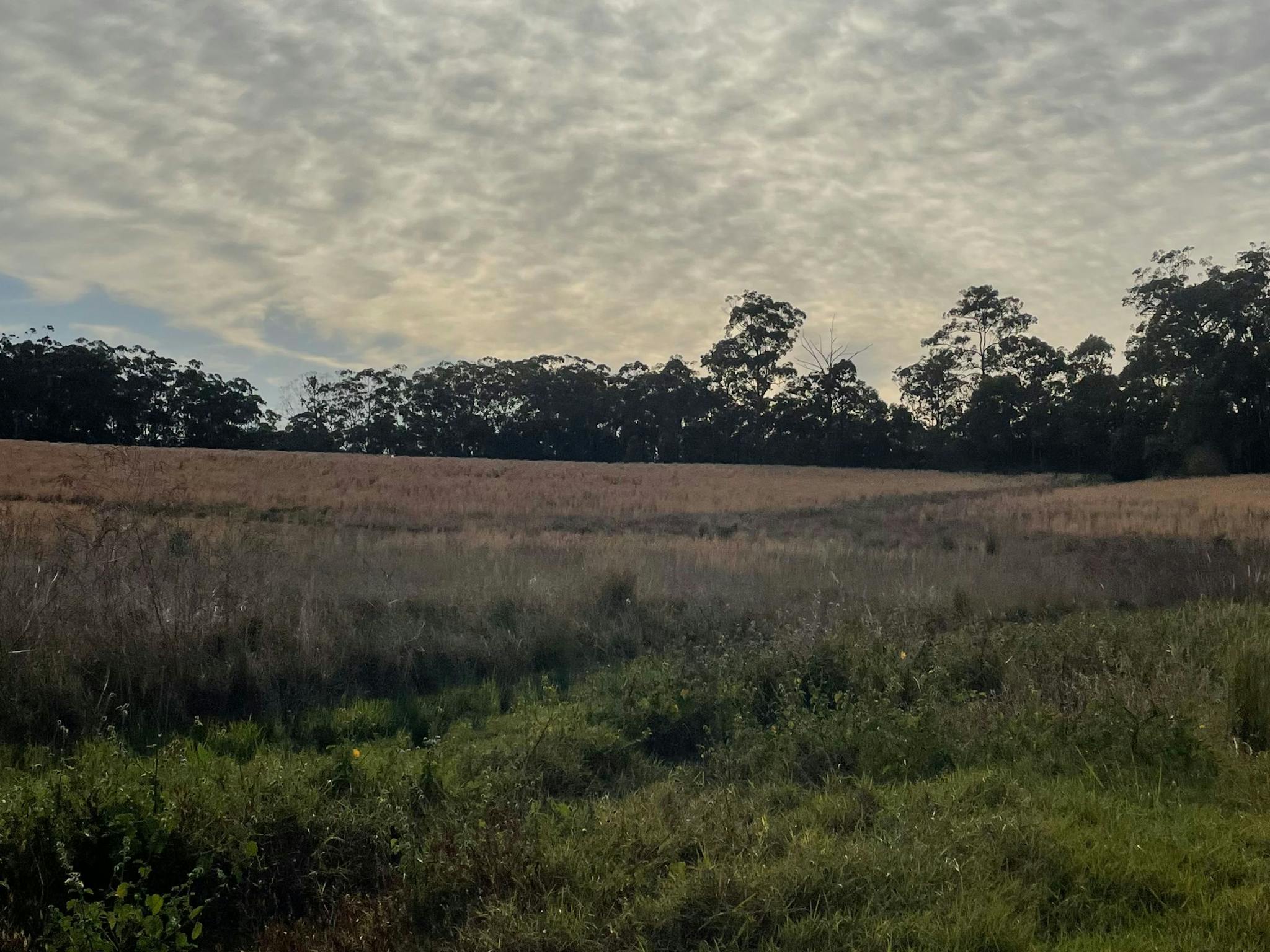 Bagotville Farm