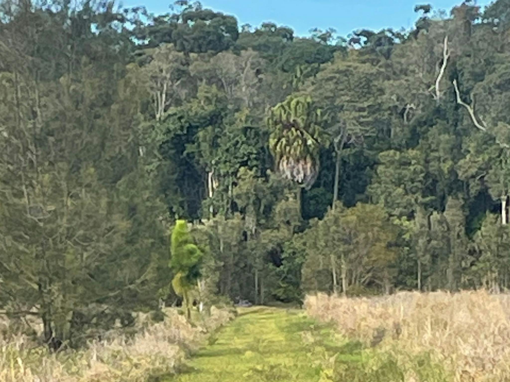 Bagotville Farm
