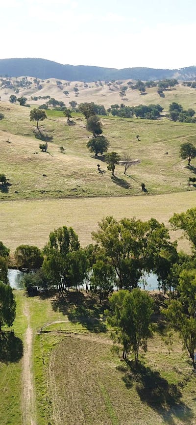 Drone pic of the camp ground