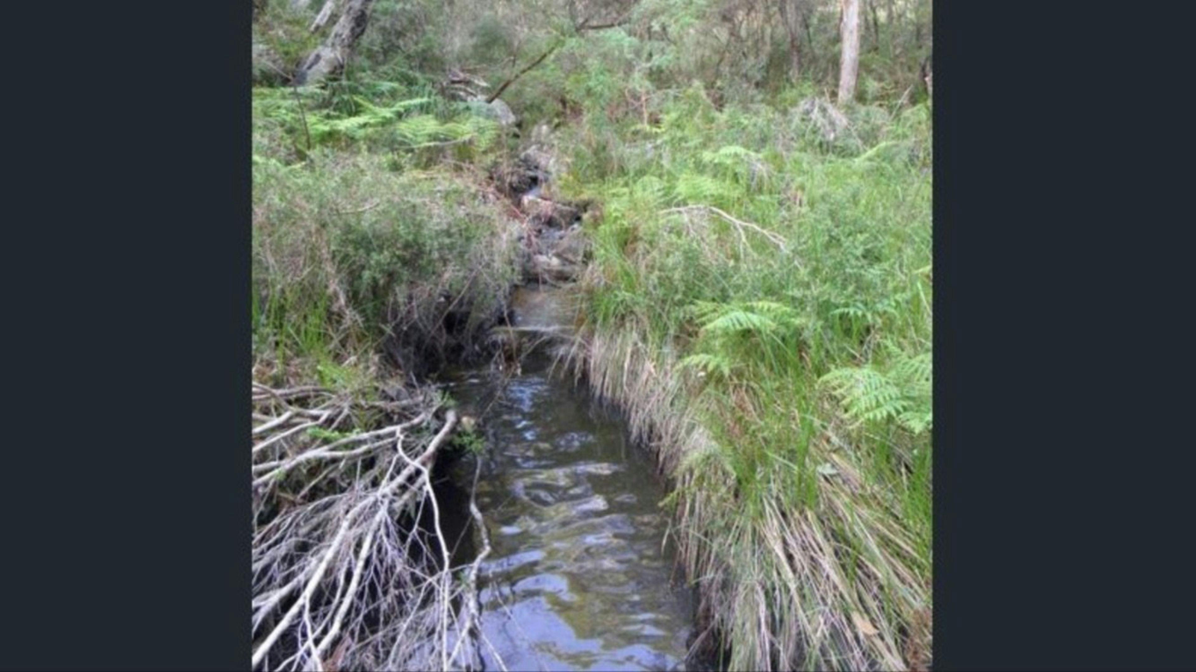 Walk to creek