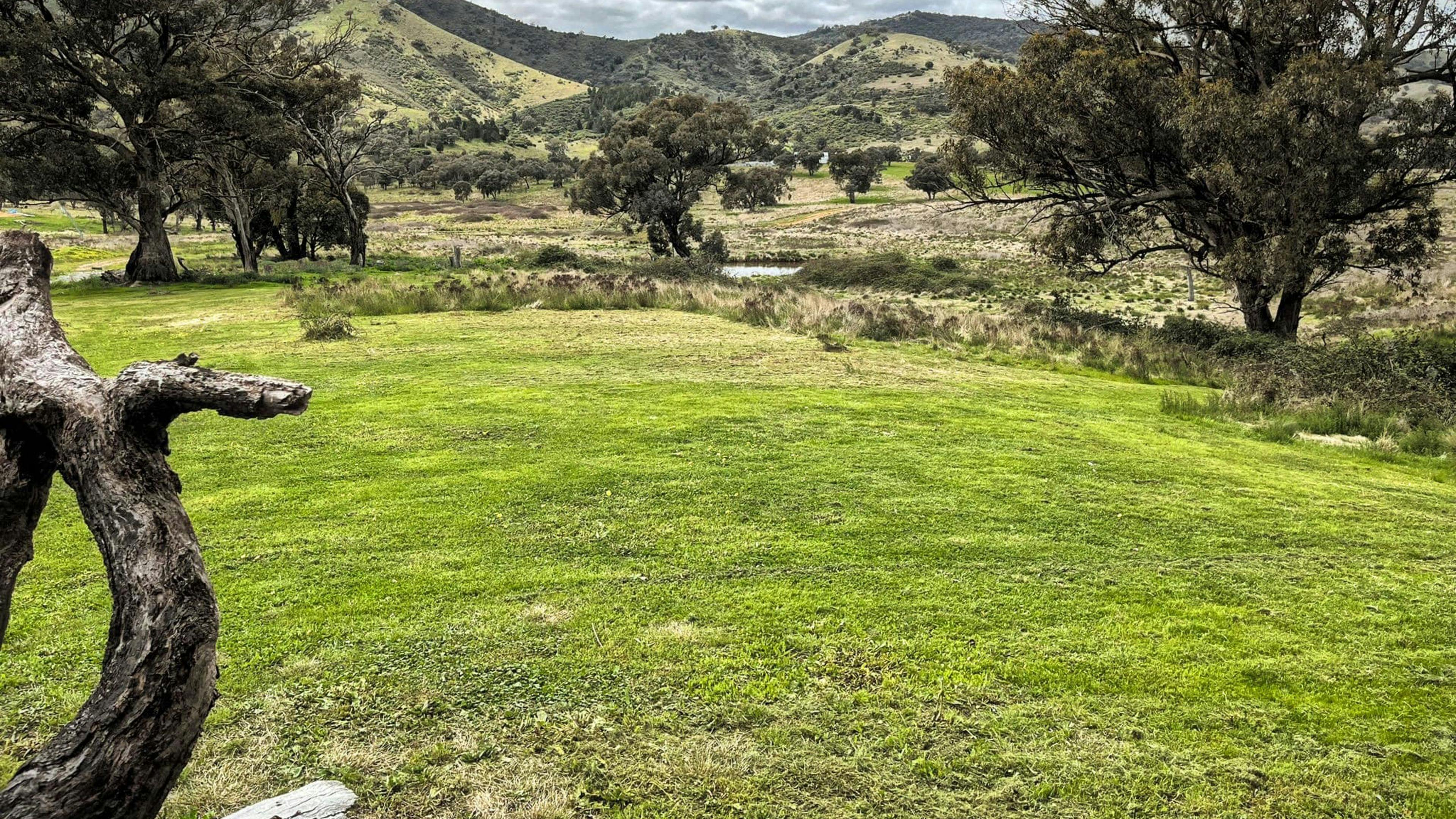 Front valley camping area