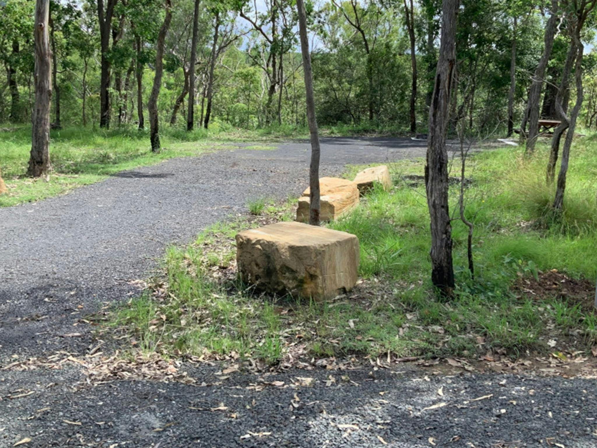 Campsite 1 in Bandahngan campground. Credit: Allan Goodwin &copy; DCCEEW