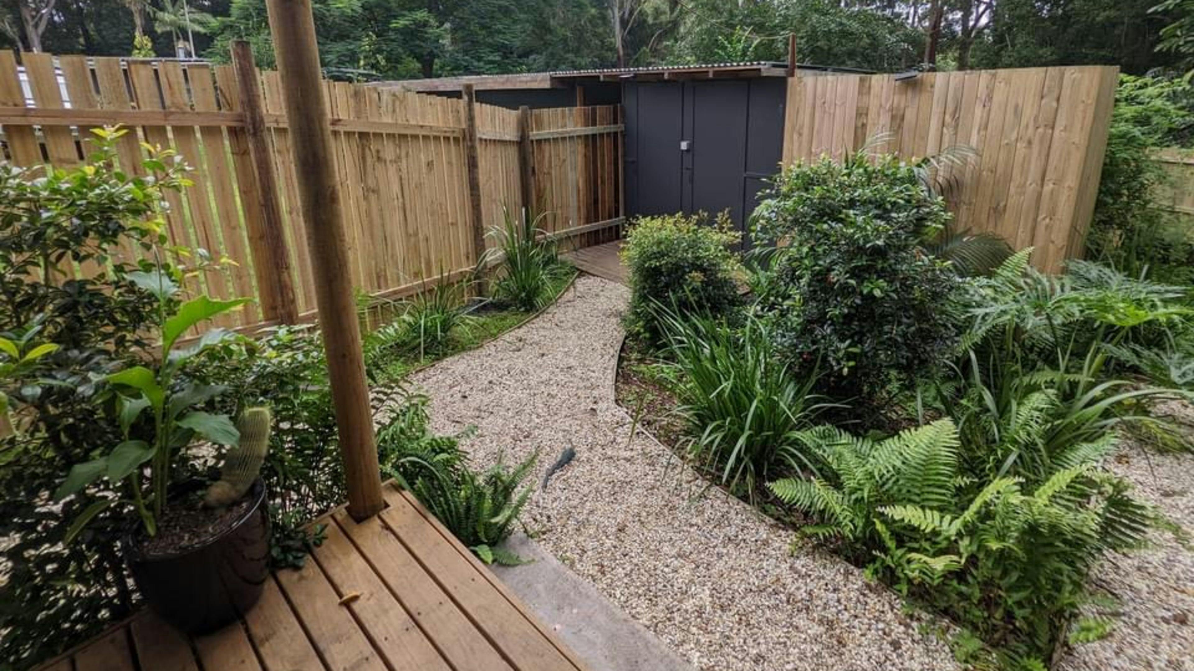 스키너스의 세레네