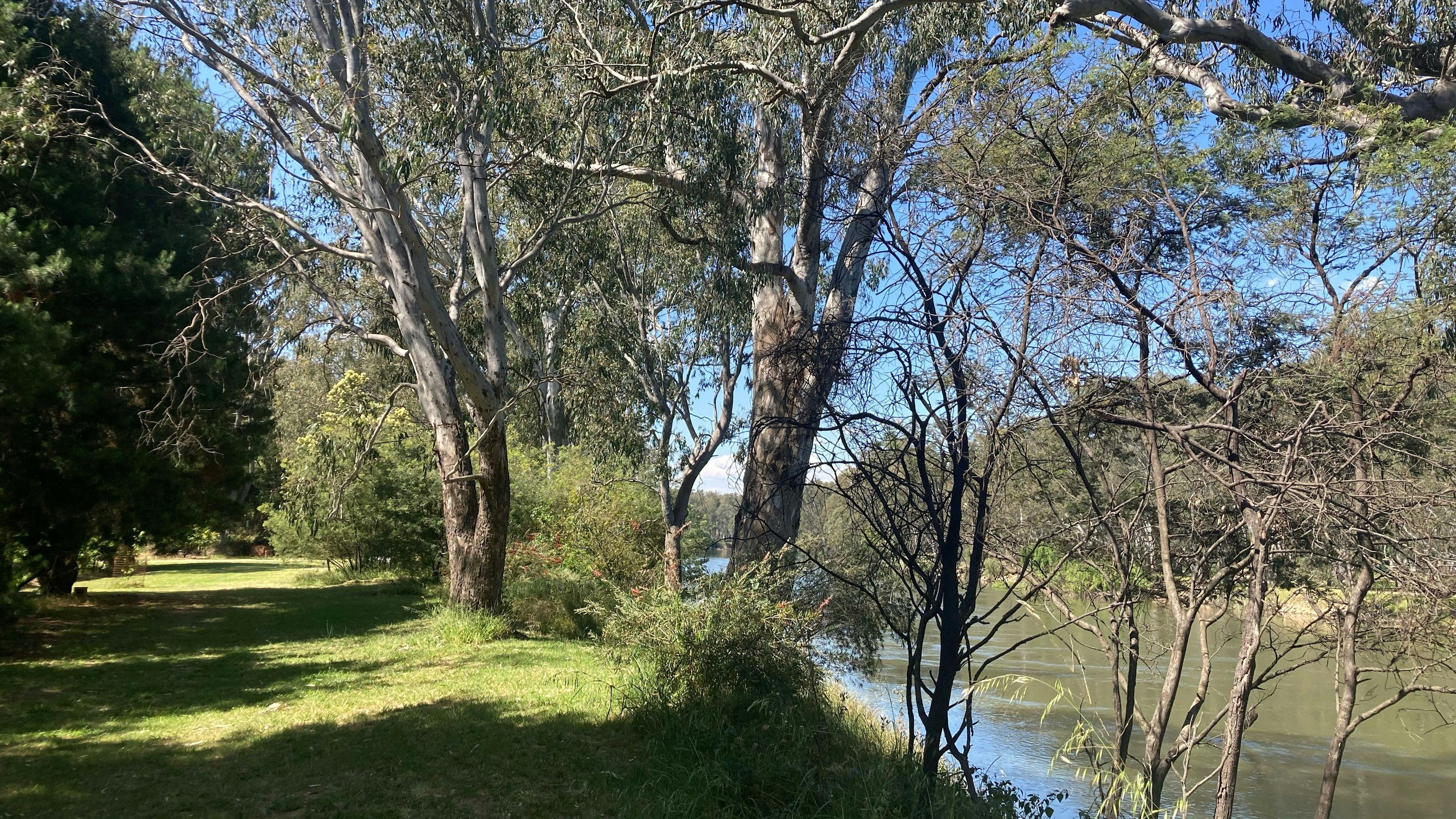 Banks of the Murray, Corowa