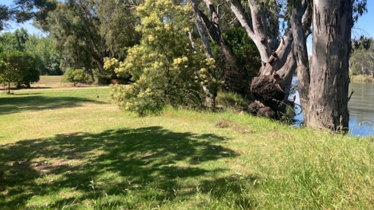 Banks of the Murray, Corowa