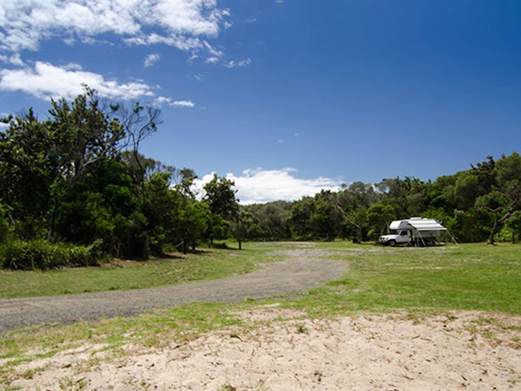 Banksia Green campground, Myall Lakes National Park. Photo: John Spencer/NSW Government