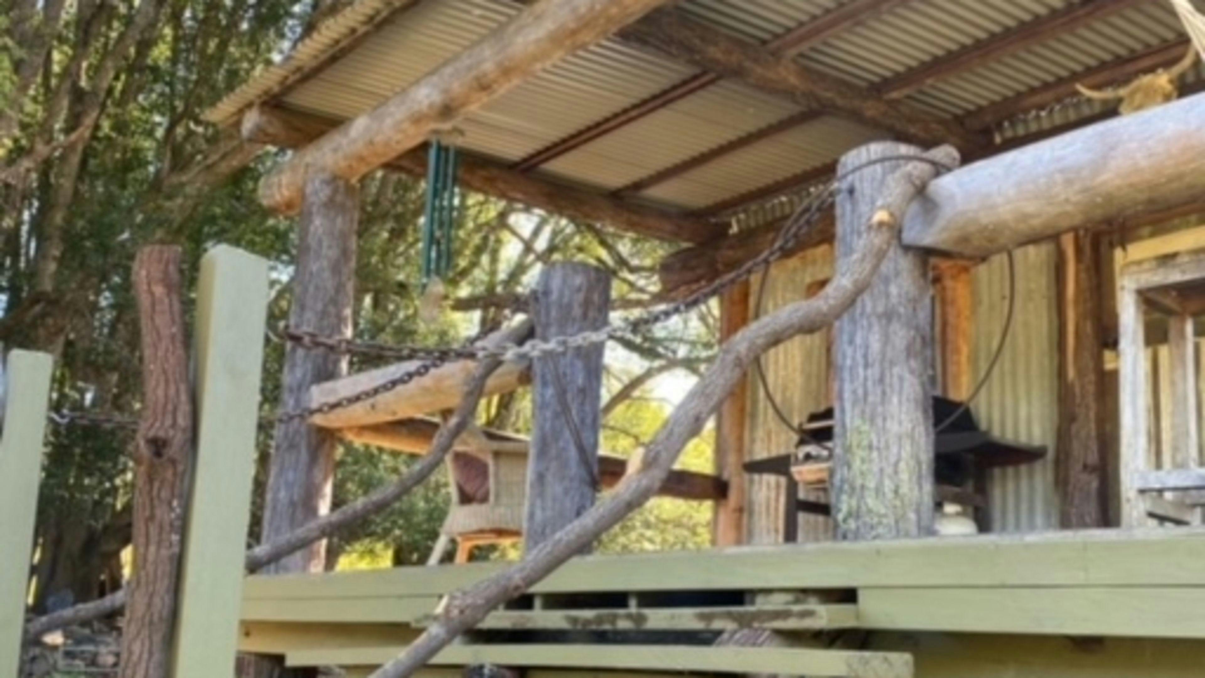 Barachi by the Creek