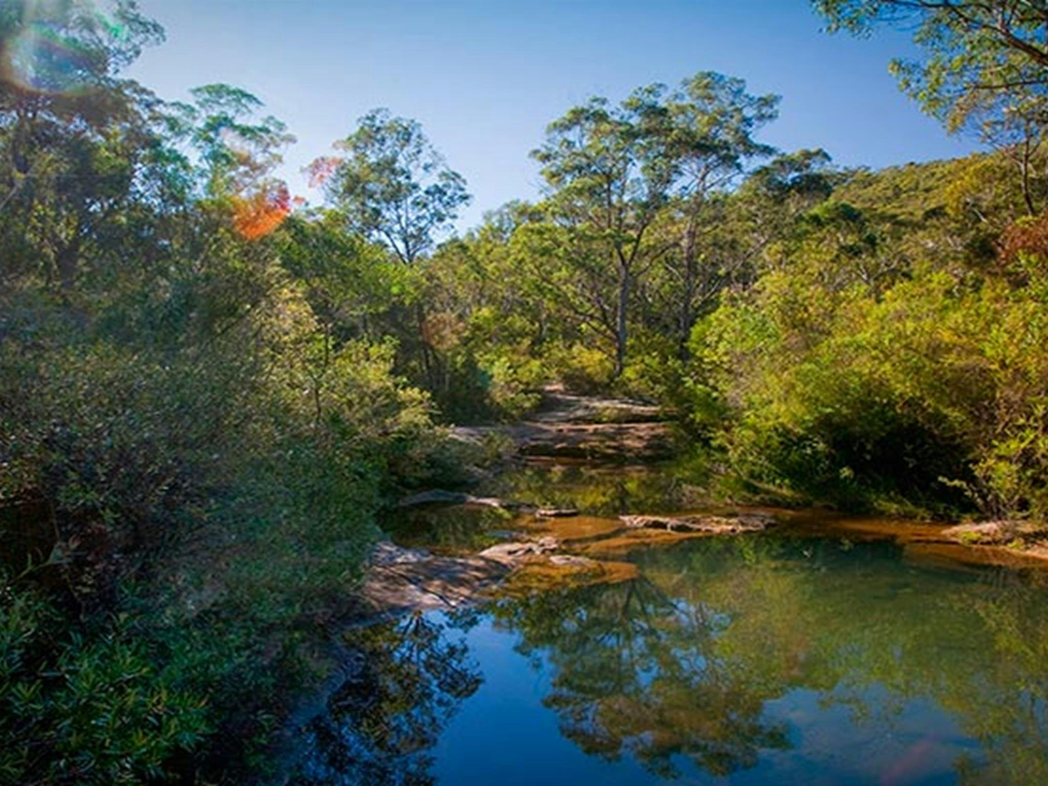 Bargo State Conservation Area. Photo: Nick Cubbin &copy; DPIE