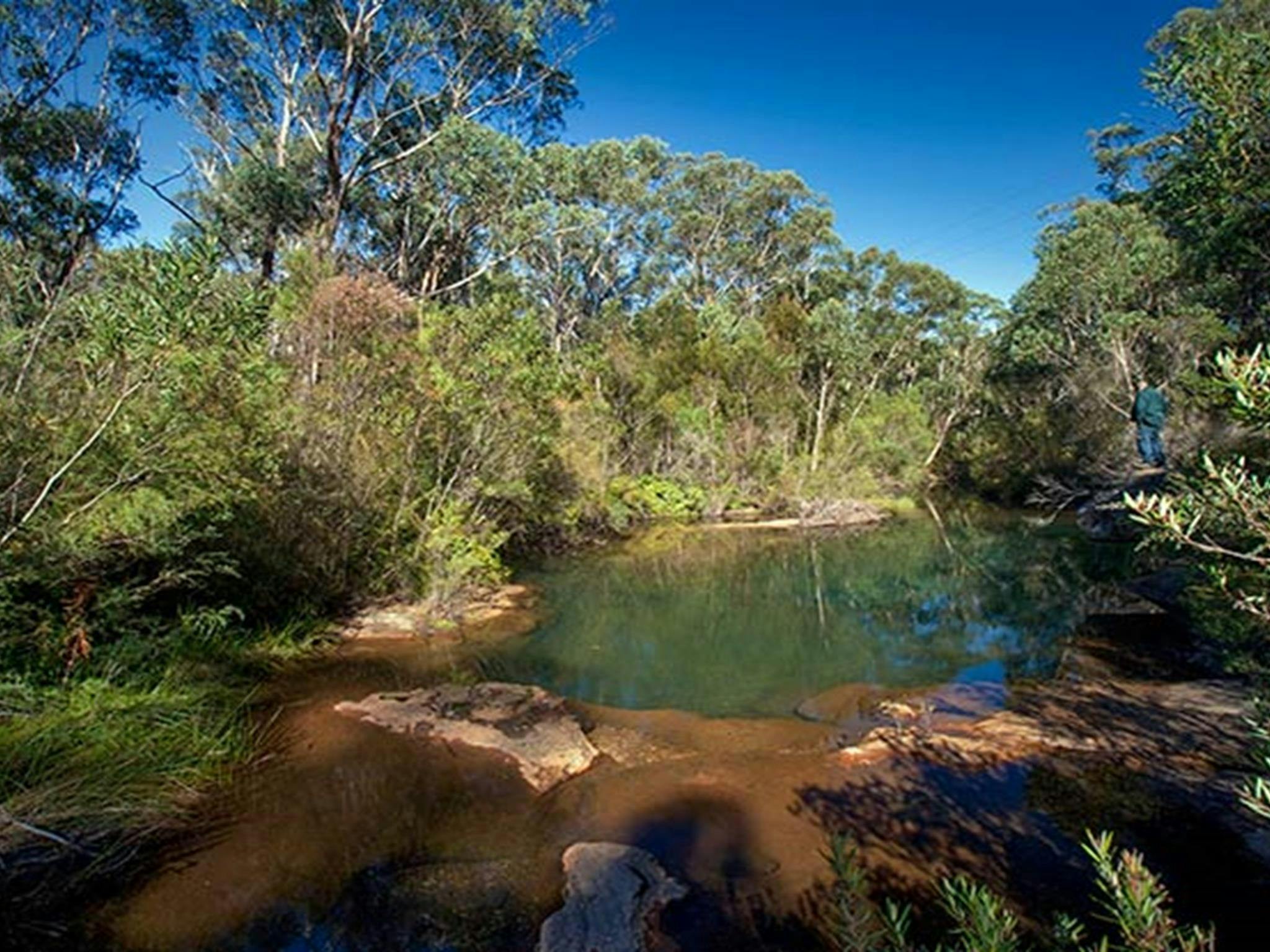 Bargo State Conservation Area. Photo: Nick Cubbin &copy; DPIE