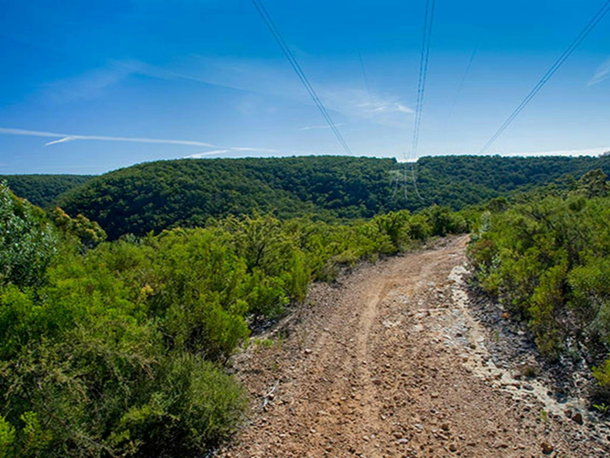 Bargo State Conservation Area. Photo: Nick Cubbin &copy; DPIE