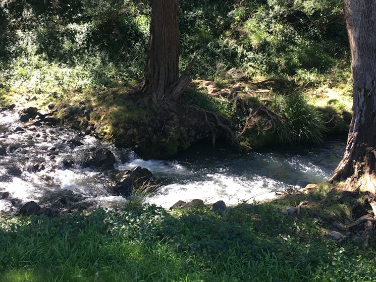 Barnard River Farm,Hanging Rock